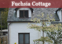 Fuchsia Cottage